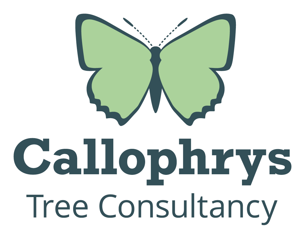 Callophrys Tree Consultancy