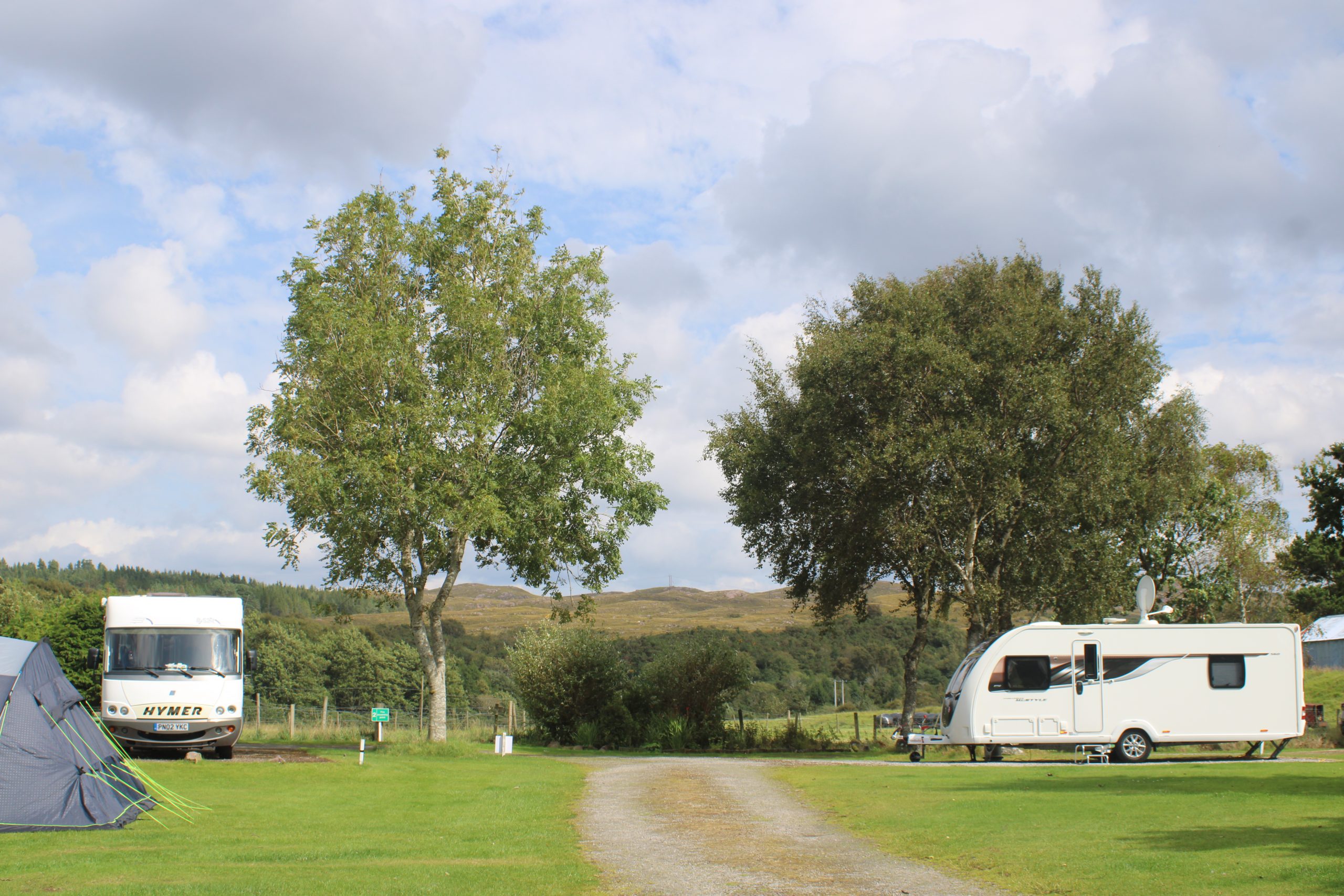 Ash and birch, Inverewe Gardens, August 2025.