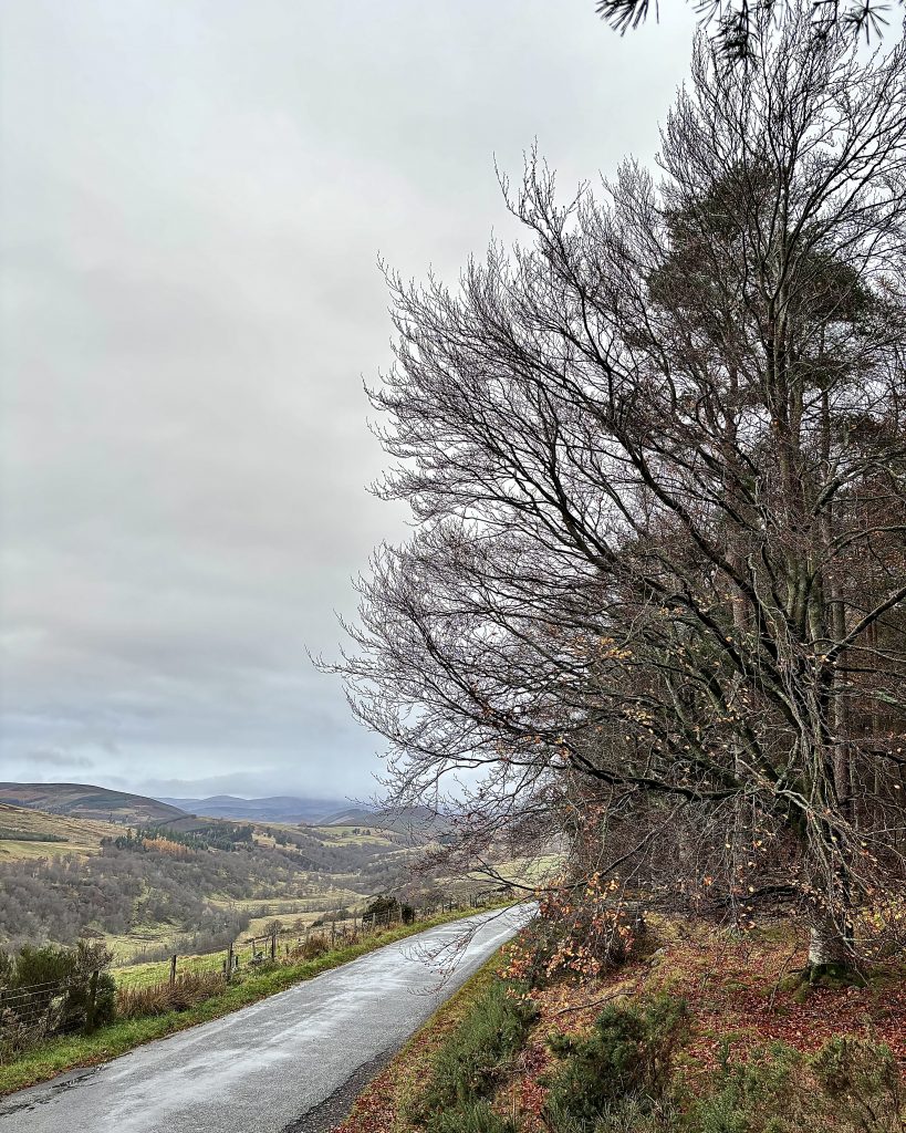 Glen Prosen, November 2025.