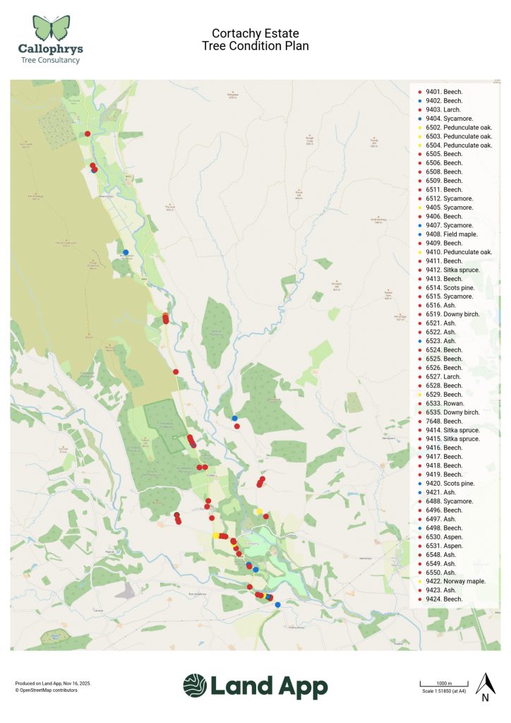 LAND APP_Cortachy Estate_November 2025