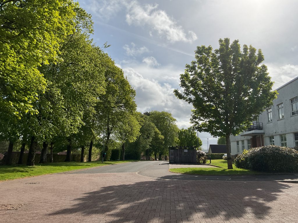 Street trees on the site of the former Canniesburn Hospital, Bearsden, May 2026.