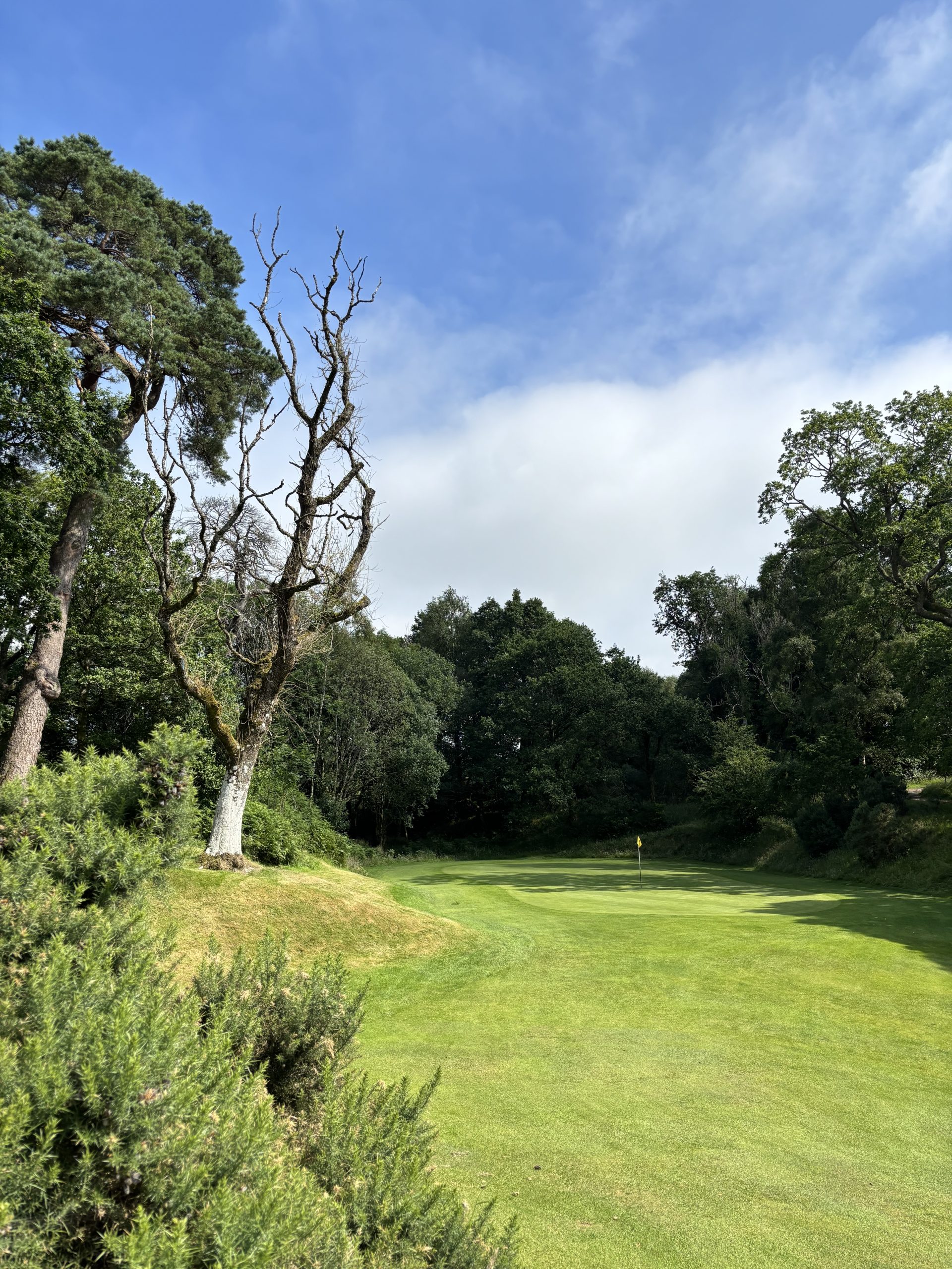 12th green at Helensburgh Golf Course, July 2026.